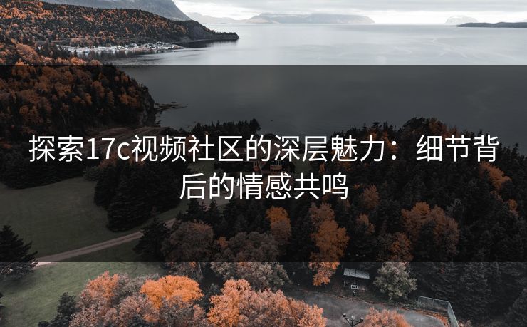 探索17c视频社区的深层魅力：细节背后的情感共鸣