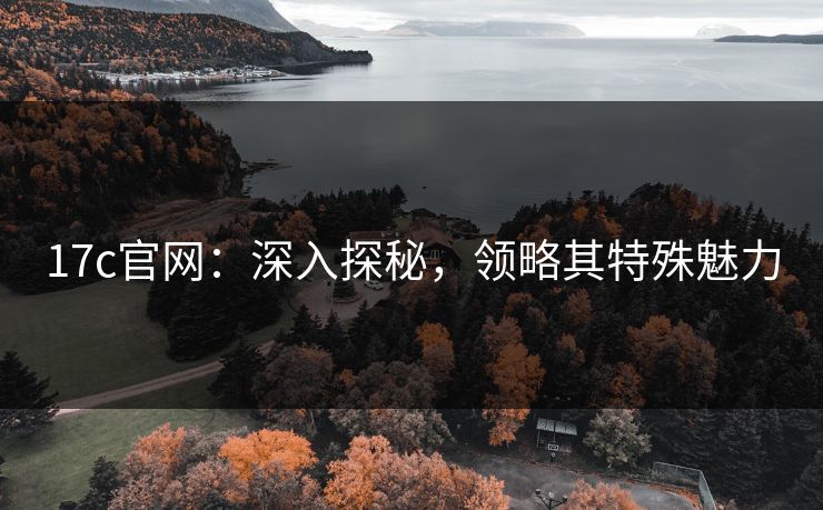 17c官网：深入探秘，领略其特殊魅力