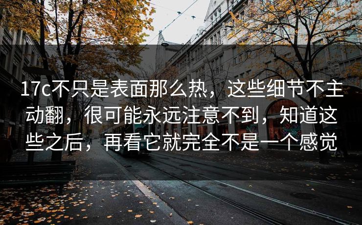 17c不只是表面那么热，这些细节不主动翻，很可能永远注意不到，知道这些之后，再看它就完全不是一个感觉
