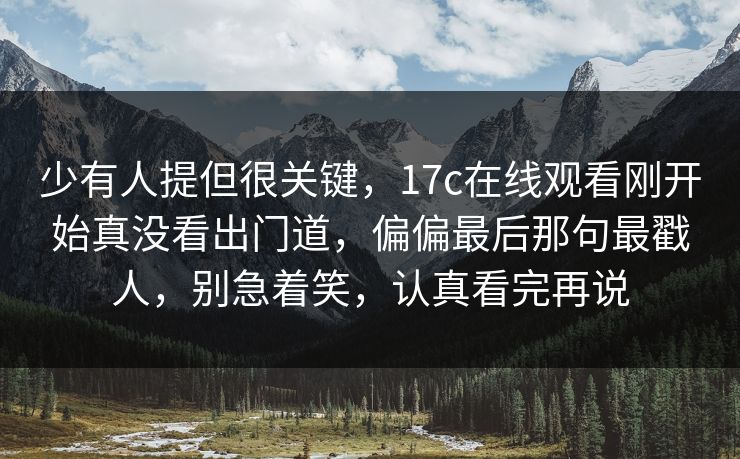 少有人提但很关键,17c在线观看刚开始真没看出门道,偏偏最后那句最戳人,别急着笑,认真看完再说 少有人提但很关键,17c在线观看刚开始真没看出门道,偏偏最后那句最戳人,别急着笑,认真看完再说