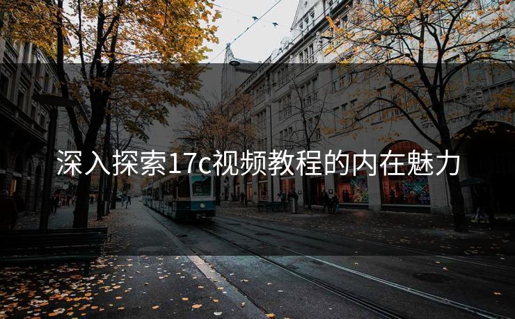 深入探索17c视频教程的内在魅力