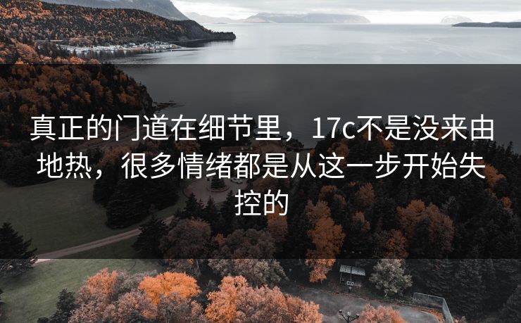 真正的门道在细节里,17c不是没来由地热,很多情绪都是从这一步开始失控的 真正的门道在细节里,17c不是没来由地热,很多情绪都是从这一步开始失控的