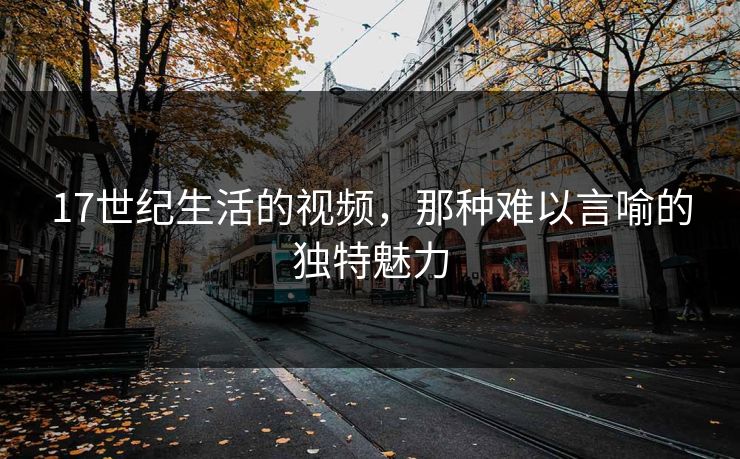 17世纪生活的视频，那种难以言喻的独特魅力
