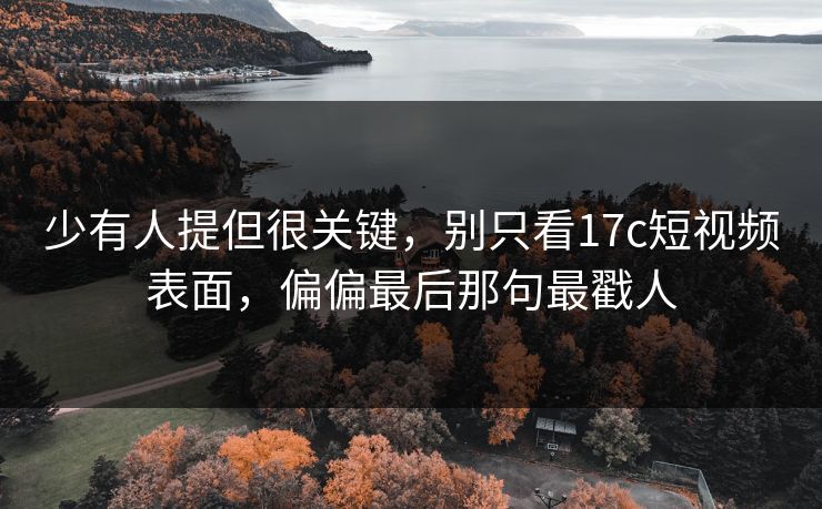 少有人提但很关键，别只看17c短视频表面，偏偏最后那句最戳人
